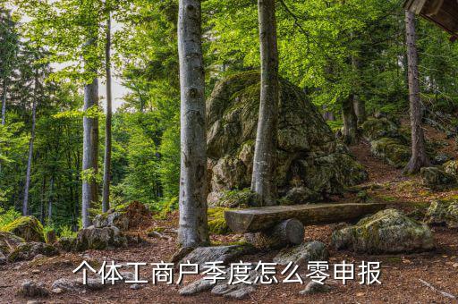 個體戶地稅如何零申報，個體工商戶地稅零申報怎樣報