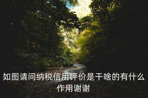 稅務如何評定信用如何打分，哪些涉稅行為會影響納稅信用等級評定