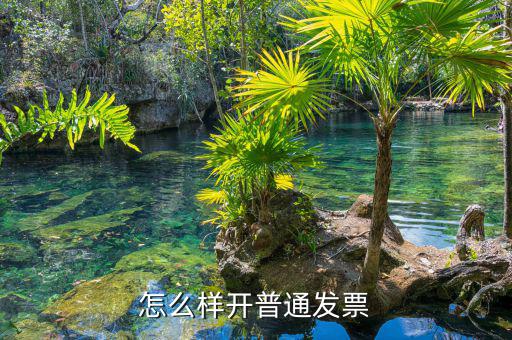 如何搞增值稅普通發(fā)票，怎么樣在電腦上開增值稅普通發(fā)票