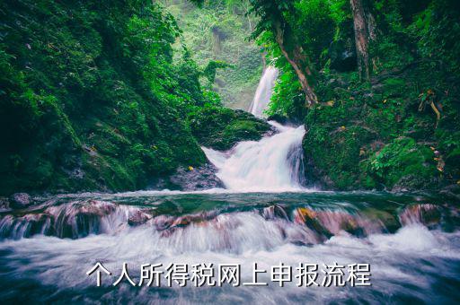 陜西國稅網個人所得稅如何申報，個人所得稅網上申報流程