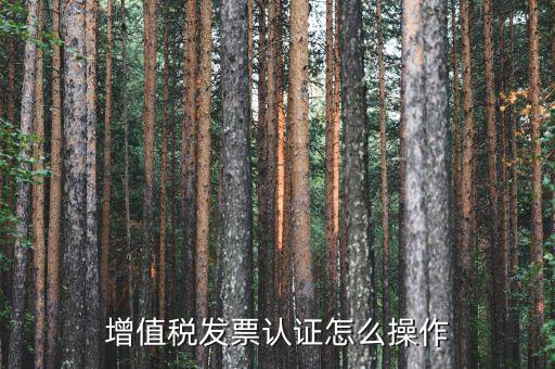 如何認(rèn)證增值稅進(jìn)項稅，進(jìn)項稅怎么認(rèn)證