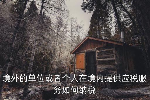 境外機構如何繳納增值稅，來源于境外收入怎么交增值稅