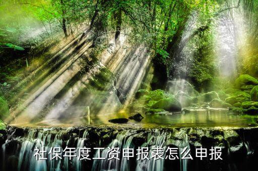 如何申報社保費申報表，申報社保怎么申請