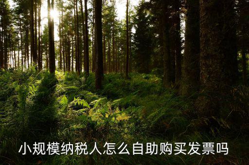 如何在自助機領(lǐng)購發(fā)票，小規(guī)模納稅人怎么自助購買發(fā)票嗎