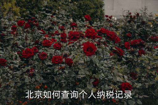 如何查詢北京國(guó)稅局納稅人狀態(tài)，如何進(jìn)行北京市A級(jí)納稅人信用查詢