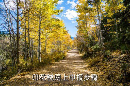 印花稅減半征收如何網(wǎng)上備案，六稅兩費(fèi)印花稅減半怎么申報(bào)