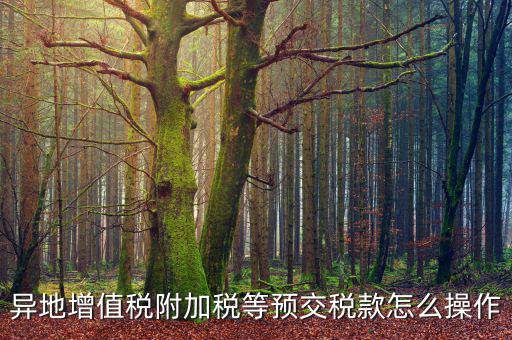 跨區(qū)稅源登記 如何繳納附加稅，異地增值稅附加稅等預(yù)交稅款怎么操作