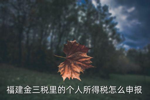 福建企業(yè)個稅如何申報系統(tǒng)，福建省2019年企業(yè)所得稅年報 在哪里報