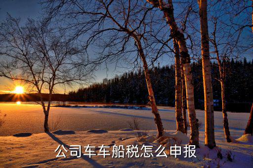 單位汽車的車船稅如何申報(bào)，公司車車船稅怎么申報(bào)