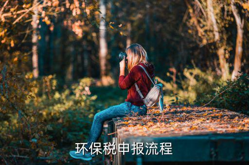 噪聲如何填寫環(huán)保稅，環(huán)保稅如何申報(bào)
