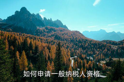 如何一般納稅人資格，公司要怎么申請成為一般納稅人需要哪些條件和資料
