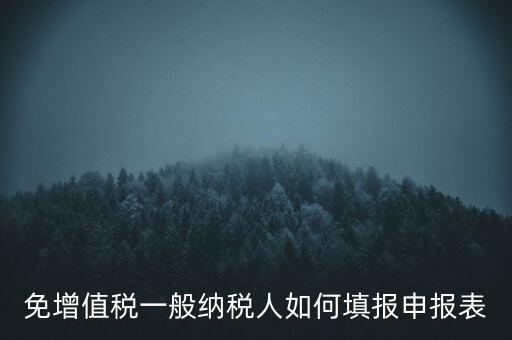 免稅如何填寫申報(bào)表，免稅企業(yè)如何填報(bào)增值稅納稅申報(bào)表