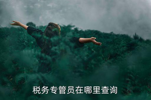 北京如何查詢稅務專管員，如何在網(wǎng)上查詢國稅專管員