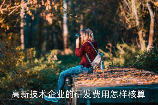 如何計算研發(fā)費用，企業(yè)研發(fā)費用加計扣除的研發(fā)費用加計扣除額計算