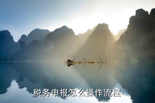 北京國(guó)家稅務(wù)局如何申報(bào)，國(guó)稅如何網(wǎng)上零申報(bào) 具體步驟有五個(gè)