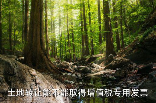 轉(zhuǎn)讓土地如何開票，土地轉(zhuǎn)讓能不能取得增值稅專用發(fā)票