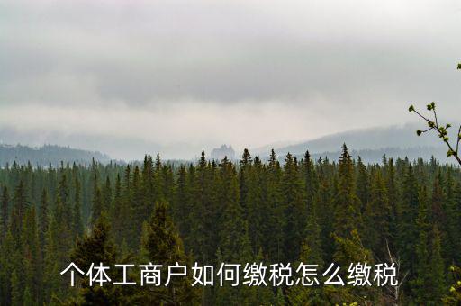 福建企業(yè)如何繳稅，企業(yè)所得稅是多少