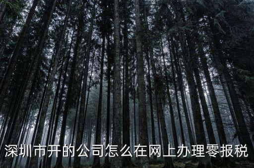 深圳如何在網(wǎng)上辦理納稅，深圳市開的公司怎么在網(wǎng)上辦理零報稅