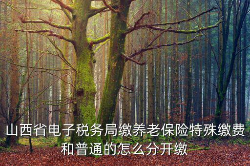 山西養(yǎng)老保險如何和國稅局對接，交養(yǎng)老保險交到國家稅務(wù)總局怎么辦