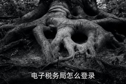 如何登錄稅務局官網(wǎng)，電子稅務局怎么登錄
