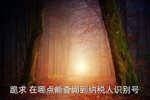 跪求 在哪點(diǎn)能查詢(xún)到納稅人識(shí)別號(hào)