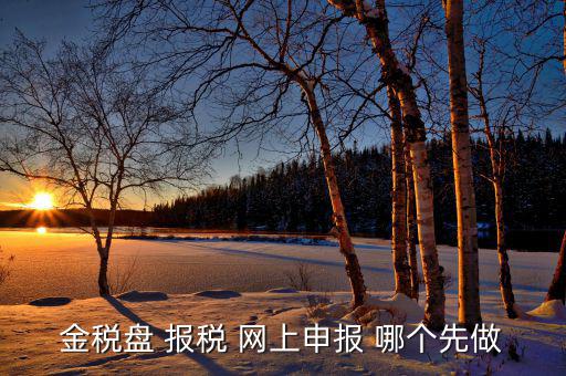 金稅盤如何網(wǎng)上申報，求金稅盤如何在電腦上報稅操作流程