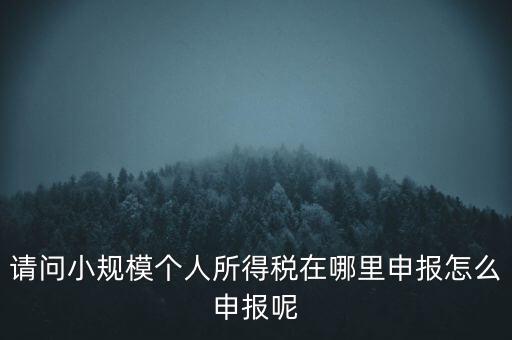 如何申報(bào)自然人兩處所得，請(qǐng)問(wèn)小規(guī)模個(gè)人所得稅在哪里申報(bào)怎么申報(bào)呢
