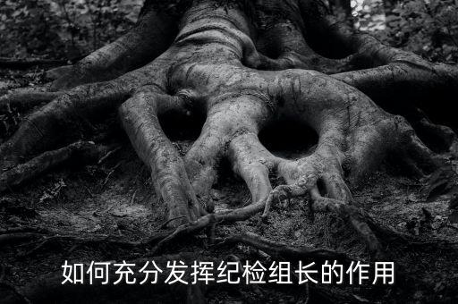 稅務(wù)局如何貫徹落實(shí)紀(jì)檢組長的講話，如何充分發(fā)揮紀(jì)檢組長的作用