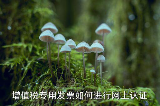 增值稅專票如何網(wǎng)上認(rèn)證，增值稅專用發(fā)票如何進(jìn)行網(wǎng)上認(rèn)證
