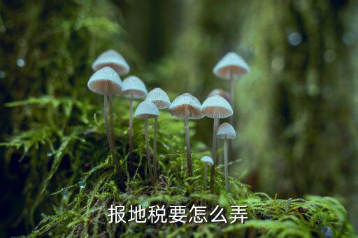 北京地稅存貨損失如何申報(bào)，北京的國稅和地稅的年報(bào)怎么做具體在網(wǎng)上什么位置以及流程有木
