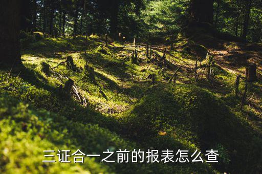 如何查三證合一之前的國稅數(shù)據(jù)，三證合一之前的報表怎么查