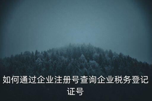 如何查詢公司稅務(wù)編號查詢系統(tǒng)，公司的稅務(wù)登記證號怎么查詢