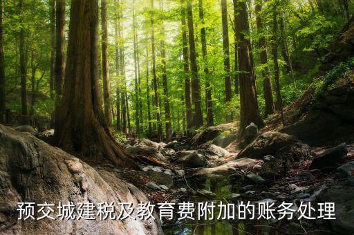 預(yù)繳城建稅如何處理，預(yù)交城建稅及教育費(fèi)附加的賬務(wù)處理