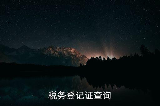 稅務(wù)登記證查詢(xún)