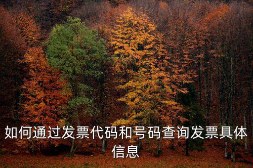如何查詢發(fā)票詳細(xì)信息查詢，如何通過發(fā)票代碼和號碼查詢發(fā)票具體信息