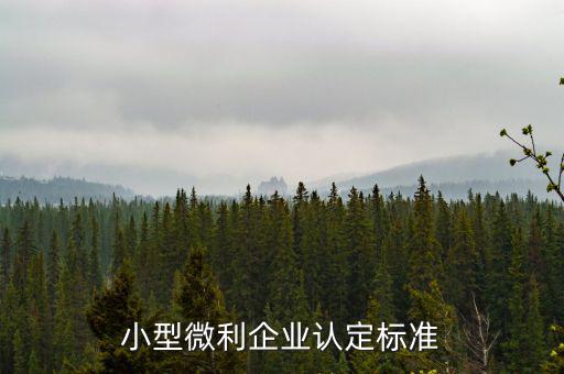 如何確定是小微企業(yè)，小型微利企業(yè)認(rèn)定標(biāo)準(zhǔn)