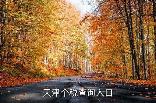 天津個(gè)稅如何查詢密碼，天津個(gè)稅查詢?nèi)肟?/></a></span><span id=