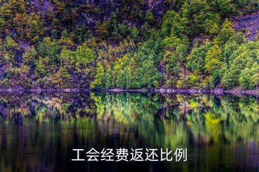 稅務(wù)局代收工會經(jīng)費如何返還，工會經(jīng)費交稅務(wù)局怎么返還