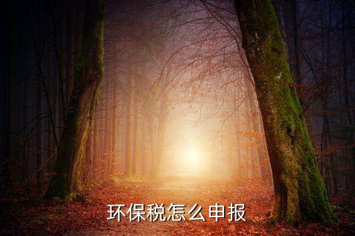 環(huán)境保護(hù)稅b類如何申報表，環(huán)保稅申報步驟是什么