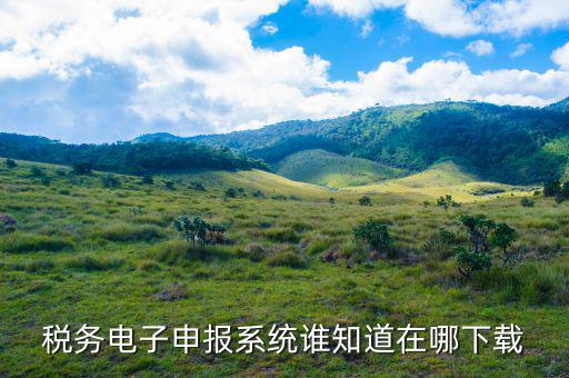 浙江省稅務如何申報系統(tǒng)下載，稅務電子申報系統(tǒng)誰知道在哪下載
