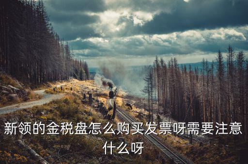 新公司如何購買金稅盤，新領的金稅盤怎么購買發(fā)票呀需要注意什么呀