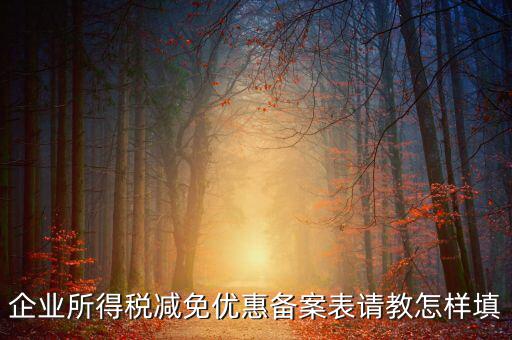 企業(yè)所得優(yōu)惠備案如何，企業(yè)所得稅減免優(yōu)惠備案表請教怎樣填