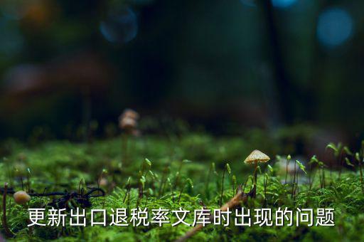 出口退稅文庫如何更新，請問各位出口退稅系統(tǒng)里的代碼庫怎么更新啊怎么老沒反應的呢