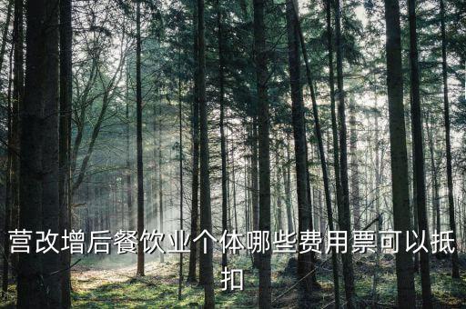 餐飲業(yè)如何抵扣，餐飲業(yè)無法向個人消費者開具增值稅專用發(fā)票那怎么抵扣進項稅