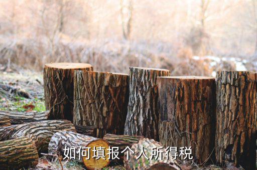 如何填寫自然人個人所得稅報(bào)表，如何填報(bào)個人所得稅
