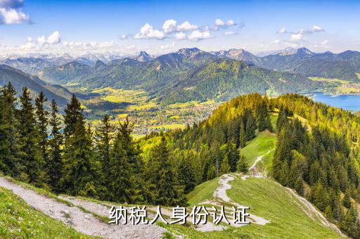 如何北京納稅人網(wǎng)上實(shí)名認(rèn)證，納稅人身份認(rèn)證