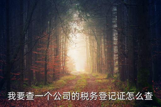 如何查企業(yè)的稅務(wù)登記證號(hào)，公司的稅務(wù)登記證號(hào)怎么查詢