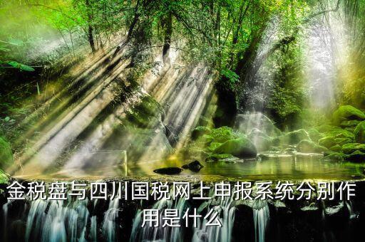 四川國稅如何網(wǎng)上申報，四川省地方稅務局網(wǎng)上怎么申報系統(tǒng)