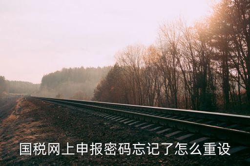 網(wǎng)上稅務(wù)局登錄密碼如何重置，國(guó)稅網(wǎng)上申報(bào)密碼忘記了怎么重設(shè)