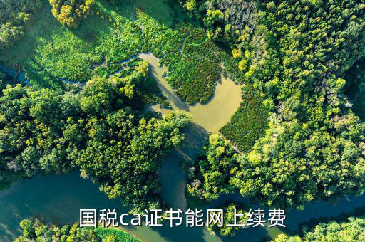 河北ca 國稅如何網上續(xù)費，國稅ca怎樣網上續(xù)費